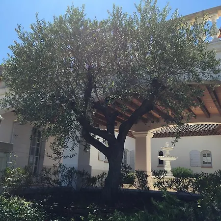 342 M2 Classee 4 Etoiles Sur 1 Ha - Provence Besse-sur-Issole