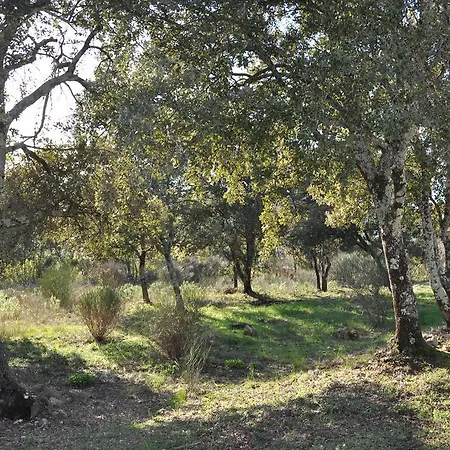 342 M2 Classee 4 Etoiles Sur 1 Ha - Provence Besse-sur-Issole
